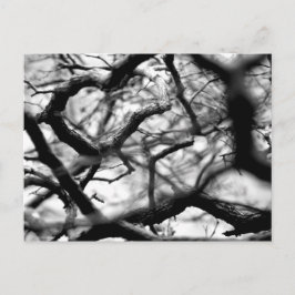 Herz in den Branchen Postkarte