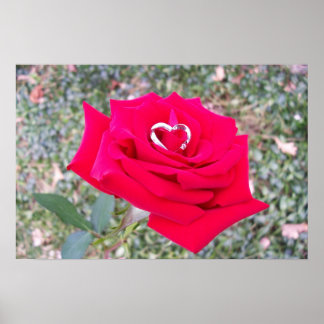 Herz in Rose Poster