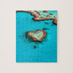 Herz Liebe Korallenriff Wasser Ozean Blau Tropisch