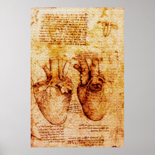 Herz, seine Blutgefäße, Leonardo Da Vinci Brown Poster