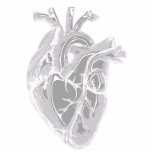 Herz Skizze Fotopulptur Freistehende Fotoskulptur<br><div class="desc">Ein detailliertes,  realistisches,  monochromatisches graues Herz zur Anzeige. CHD macht das Herz zu einem zentralen Thema im Leben derer,  die von Fehlern berührt werden. Diese Skulptur ist für diejenigen mit einer besonderen Faszination für dieses phantastische Orgelbild,  das von https://pixabay.com/illustrations/heart-nurse-health-body-parts-5079717/ durch mandrakept angepasst wurde.</div>