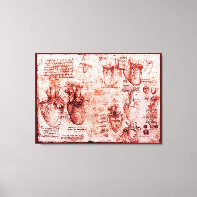 Herz und Blutgefäße, Leonardo Da Vinci, rot Leinwanddruck (Vorderseite)
