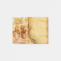 Herz und Blutgefäße Medizinisches Pergament