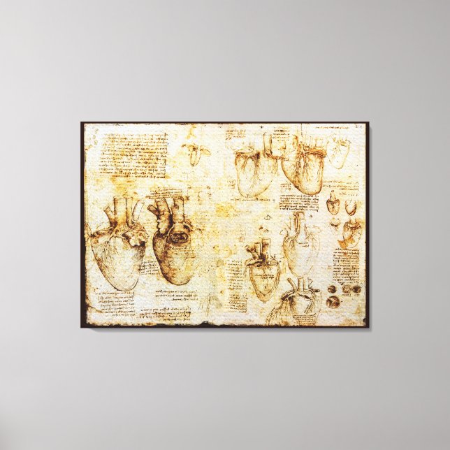 Herz und Blutgefäße, Sepia Leinwanddruck (Vorderseite)