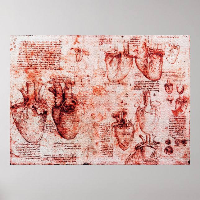 Herz und seine Blutgefäße Leonardo Da Vinci, rot Poster (Vorne)