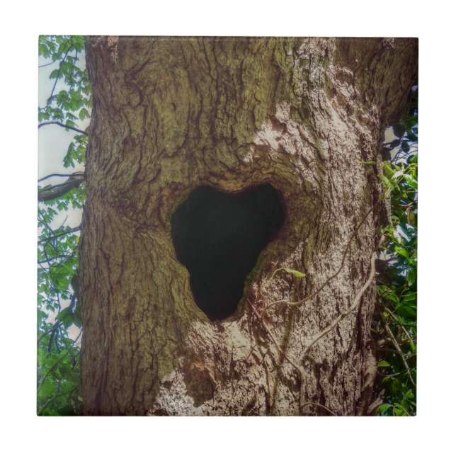 Herzbaum Fliese (Vorderseite)