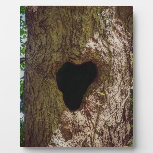 Herzbaum Fotoplatte (Vorderseite)
