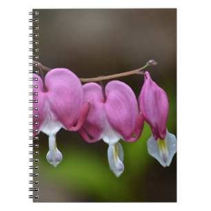 HerzblutdruckNotebook Notizblock