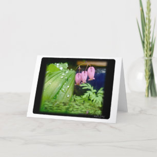 Herzblutungen, Blindkarte Karte