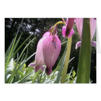 Herzen wild gegangen