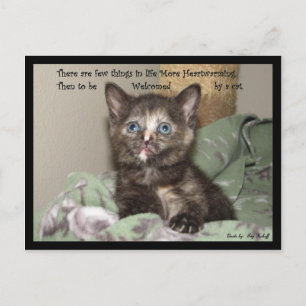 Herzerwärmung Postkarte