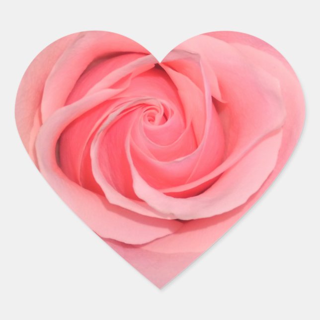 Herzförmige rosa Rosenkleber Herz-Aufkleber (Vorderseite)