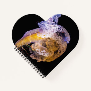 Herzförmiges Spiralnotizblock Notizbuch