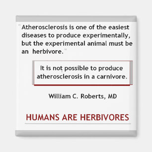 Herzinfarkt-Magnet Magnet