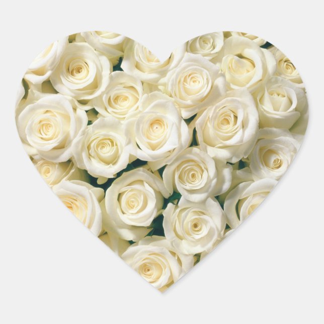 Herzkleber-White Roses Herz-Aufkleber (Vorderseite)