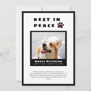 Herzklopfen Erholung in Peace Pet Loss Foto Ankündigung