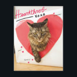 Herzklopfen-Katze Postkarte<br><div class="desc">Jetzt kann Ihre Katze in die ehrwürdigen pawprints der hellsten katzenartigen Sterne des Internets folgen. Fertigen Sie diesen Entwurf,  indem Sie das Foto Ihrer Katze laden besonders an und machen Sie sofort Ihre Katze zu eine Internet-Berühmtheit. (Entwürfe inspiriert durch,  wie man Ihre Katze ein Internet-Berühmtenbuch. macht)</div>