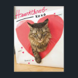 Herzklopfen-Katze Postkarte<br><div class="desc">Jetzt kann Ihre Katze in die ehrwürdigen pawprints der hellsten katzenartigen Sterne des Internets folgen. Fertigen Sie diesen Entwurf,  indem Sie das Foto Ihrer Katze laden besonders an und machen Sie sofort Ihre Katze zu eine Internet-Berühmtheit. (Entwürfe inspiriert durch,  wie man Ihre Katze ein Internet-Berühmtenbuch. macht)</div>