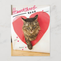 Herzklopfen-Katze