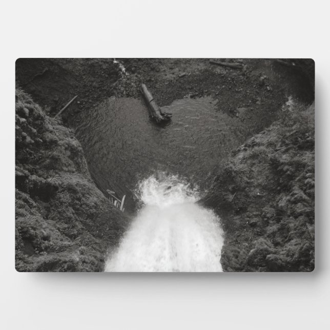 herzlich fotoplatte (Vorderseite)