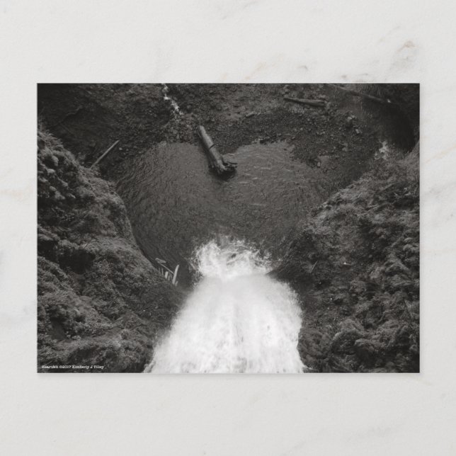 herzlich postkarte (Vorderseite)