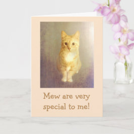 Herzlich Willkommen bei der Katze Karte