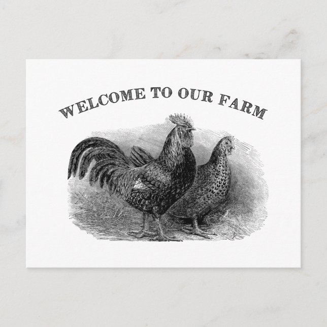 Herzlich Willkommen in unserem Farm Vintagen Hähnc Postkarte (Vorderseite)