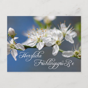 Herzliche Frühlingsgrüße Postkarte