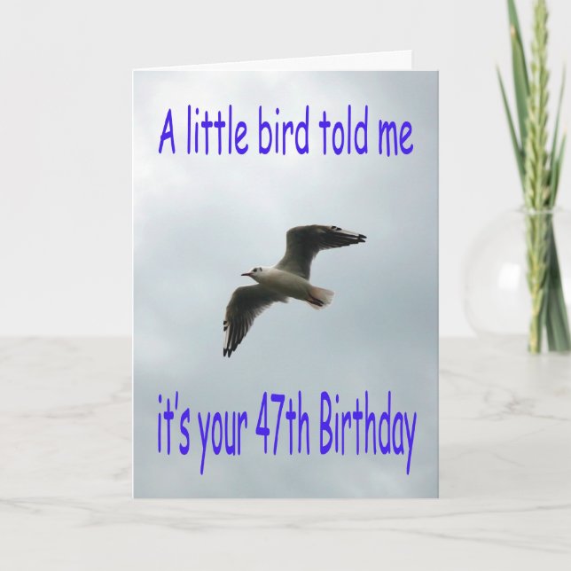 Herzlichen Glückwunsch 47. Geburtstag Fliegender S Karte (Vorderseite)