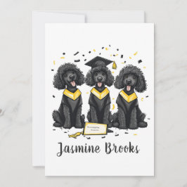 Herzlichen Glückwunsch Abschluss Standard Poodle H Ankündigung