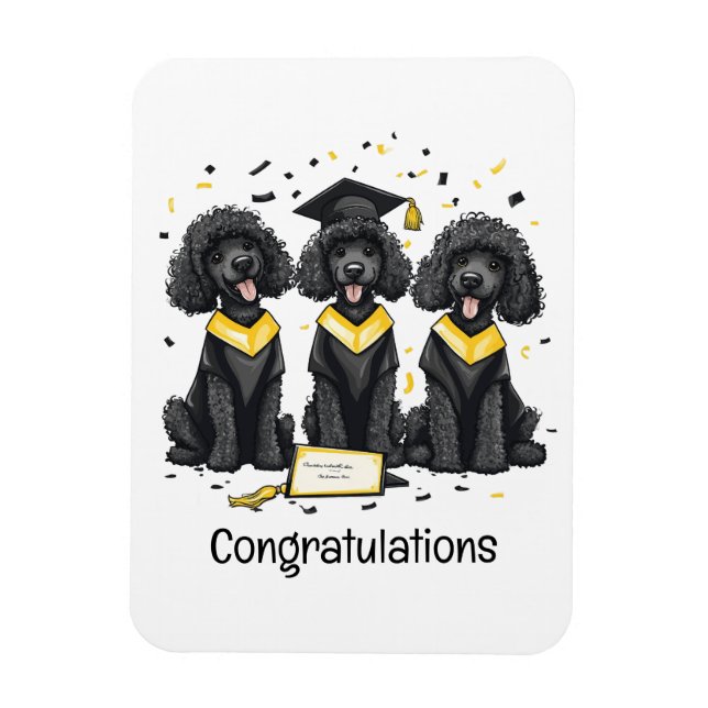 Herzlichen Glückwunsch Abschluss Standard Poodle H Magnet (Vertikal)