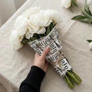 Herzlichen Glückwunsch, Absolvent Tassel Foto-Coll Geschenkpapier Set