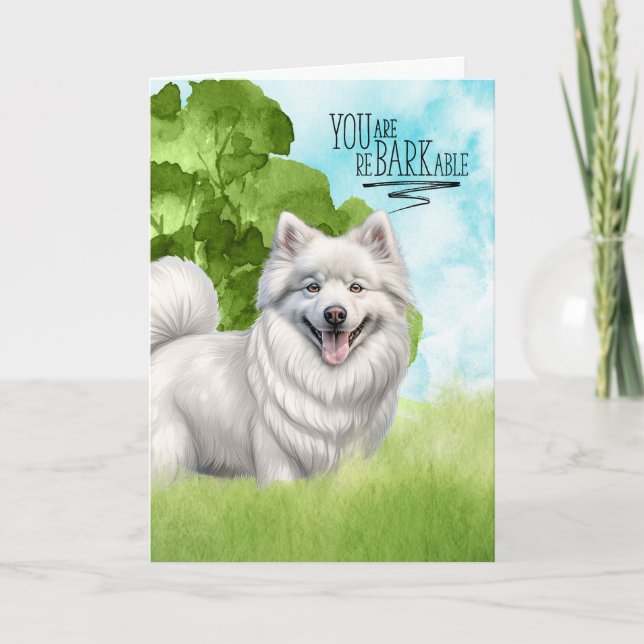 Herzlichen Glückwunsch an BARKable American Eskimo Karte (Vorderseite)