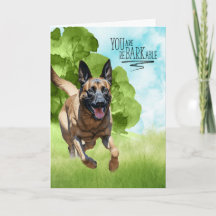 Herzlichen Glückwunsch an BARKable Belgische Malin