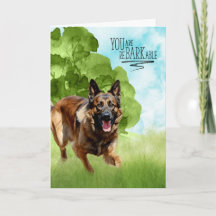 Herzlichen Glückwunsch an BARKable Belgische Tervu