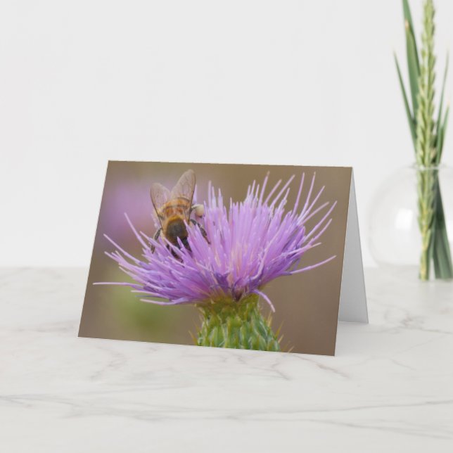 Herzlichen Glückwunsch Beon Lila Thistle Foto Cust Karte (Vorderseite)