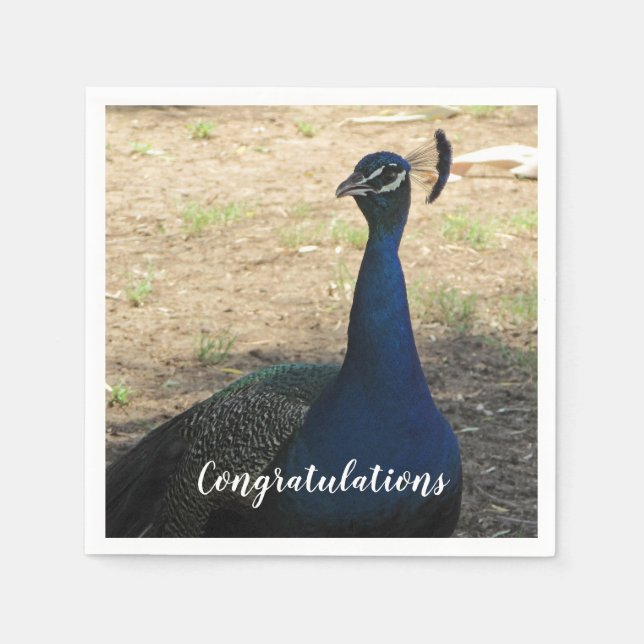 Herzlichen Glückwunsch Blue Proud Peacock Foto Bir Serviette (Vorderseite)