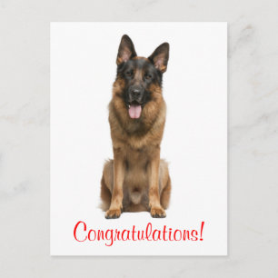 Herzlichen Glückwunsch Deutsche Schäferhund Welpe  Postkarte