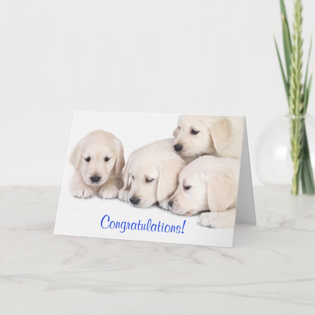 Herzlichen Glückwunsch Labrador Retriever Puppenka Karte (Vorderseite)