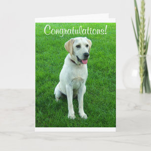 Herzlichen Glückwunsch Labrador Retriever Welpen H Karte
