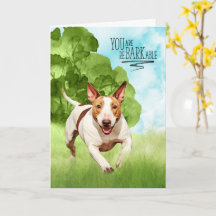 Herzlichen Glückwunsch reBARKable Bull Terrier Hun