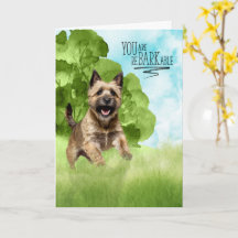 Herzlichen Glückwunsch reBARKable Cairn Terrier Hu