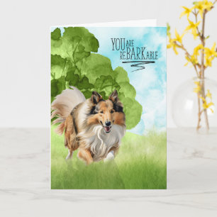 Herzlichen Glückwunsch reBARKable Rough Collie Hun Karte