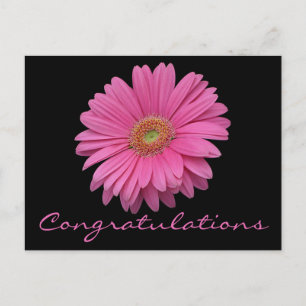 Herzlichen Glückwunsch rosa Gerbera Daisy-Blume Sc Postkarte