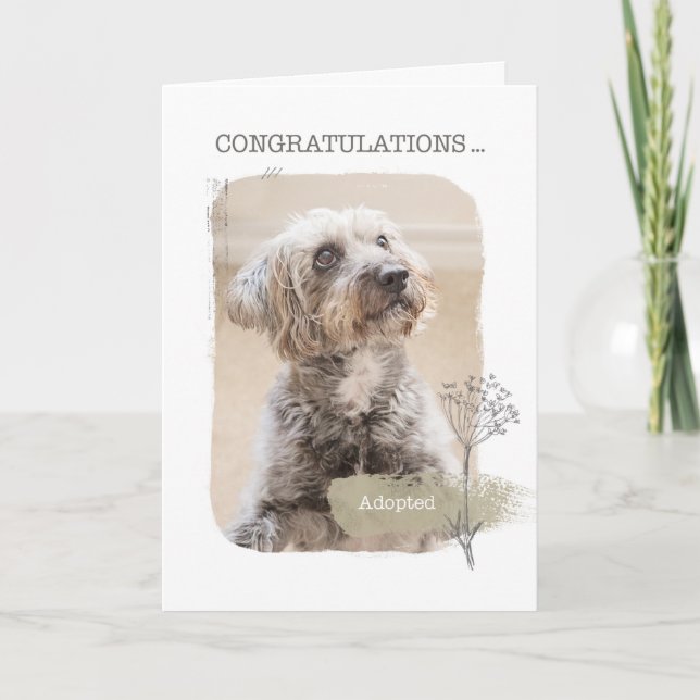 Herzlichen Glückwunsch Shelter Hund Adoption Karte (Vorderseite)