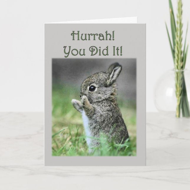 Herzlichen Glückwunsch Sie Graduierte Baby Bunny C Karte (Vorderseite)