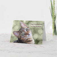 Herzlichen Glückwunsch Veterinary Graduate Tabby K
