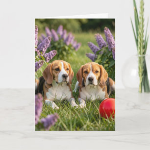 Herzlichen Glückwunsch zu Ihren neuen Beagles   He Karte