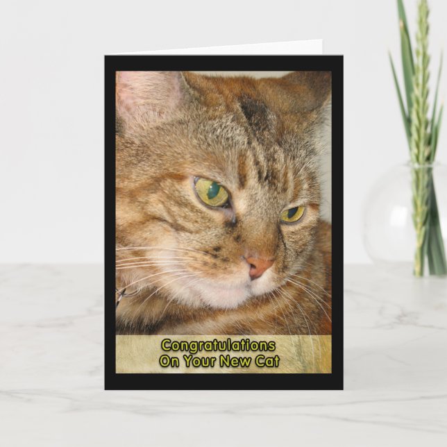Herzlichen Glückwunsch zu Ihrer neuen Katze Karte (Vorderseite)
