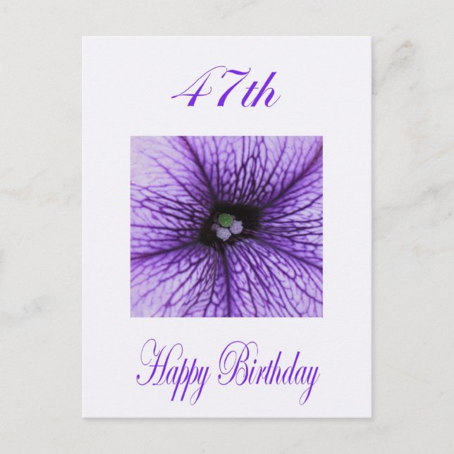 Herzlichen Glückwunsch zum 47. Geburtstag lila Blo Postkarte (Vorderseite)